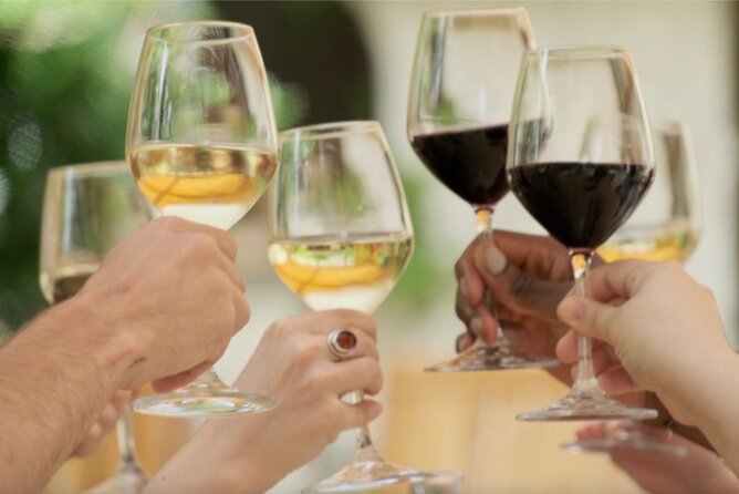 Bordeaux : Full Day Wine Tastings & Gourmet Lunch - Three family-run châteaux and a less commercial side of Bordeaux