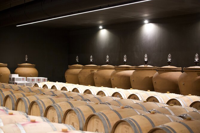 Bordeaux : Full Day Wine Tastings & Gourmet Lunch - Tasting 10 to 12 wines without needing expert knowledge