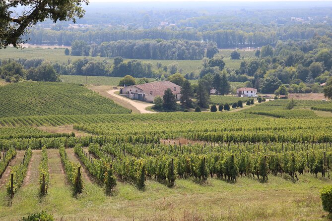Bordeaux : Full Day Wine Tastings & Gourmet Lunch - The value of $236.20 per person