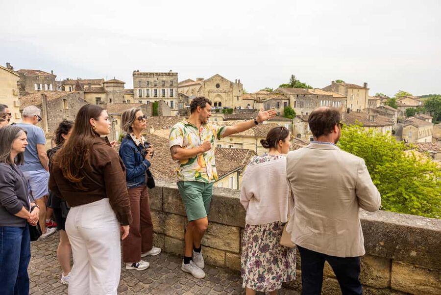 Bordeaux Full Day Wine Tour - 3 Wineries & Picnic Lunch - Key points to know before booking