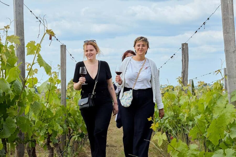 Bordeaux: Half-Day Margaux Tour with Wine Tastings - What the tasting teaches you