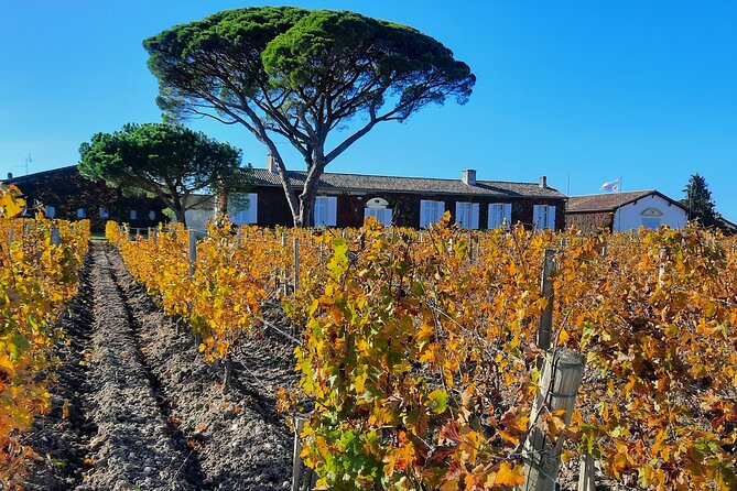 Bordeaux Médoc Region Private Wine Lovers Tour with Chateau Visits & Tastings - Why the Médoc works so well as a full-day trip