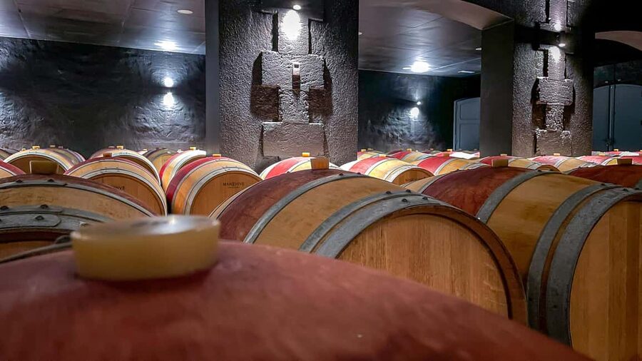 Bordeaux: Saint-Emilion and Medoc Full-Day Wine Experience - Starting at 2ter Rue Mably in central Bordeaux