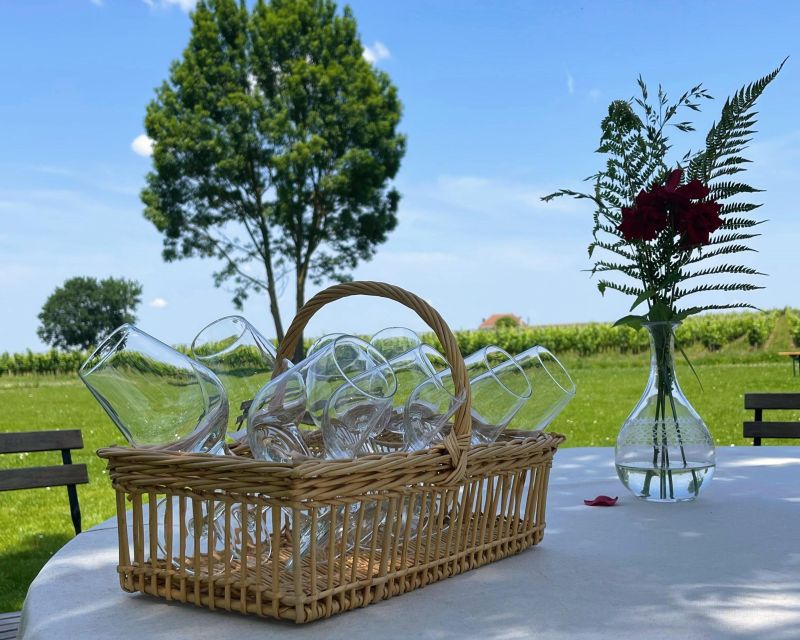 Bordeaux: Saint-Emilion Village Day Trip, 2 Chateaux & Lunch - The 50-minute ride from Bordeaux