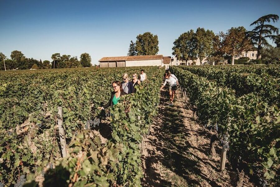Bordeaux: St-Emilion and Medoc Wine Day Tour with Lunch - Château Road and the first Médoc tasting