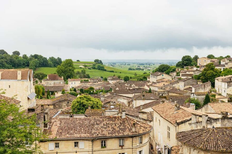 Bordeaux: St. Emilion Day Trip with Wine Tasting and Lunch - The second winery and a different point of view
