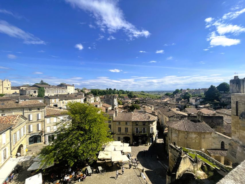 Bordeaux: St-Emilion Vineyards e-Bike Tour with Wine & Lunch - Key points at a glance