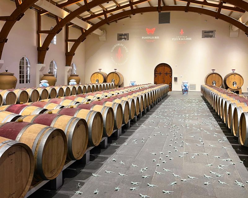 Bordeaux: St-Emilion Vineyards e-Bike Tour with Wine & Lunch - Who should book this day?