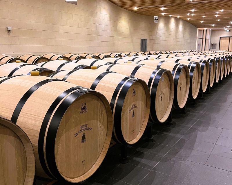 Bordeaux: St-Emilion Vineyards e-Bike Tour with Wine & Lunch - From Bordeaux to the vineyard roads