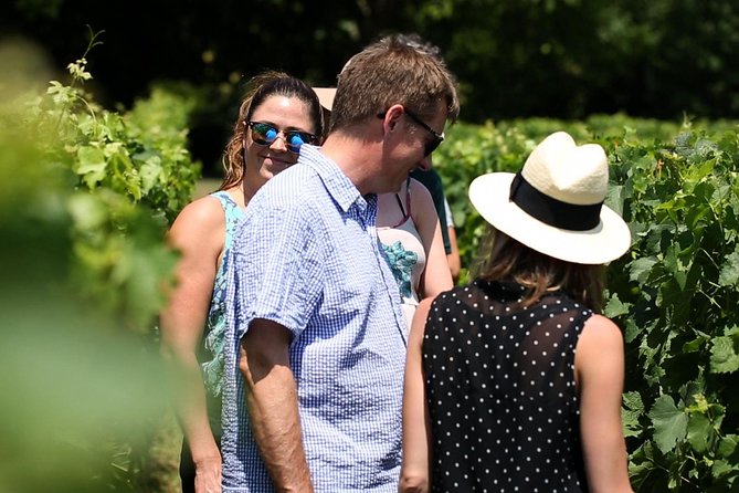 Bordeaux Super Saver Wine Tasting class and St Emilion region - Why this Bordeaux wine day works