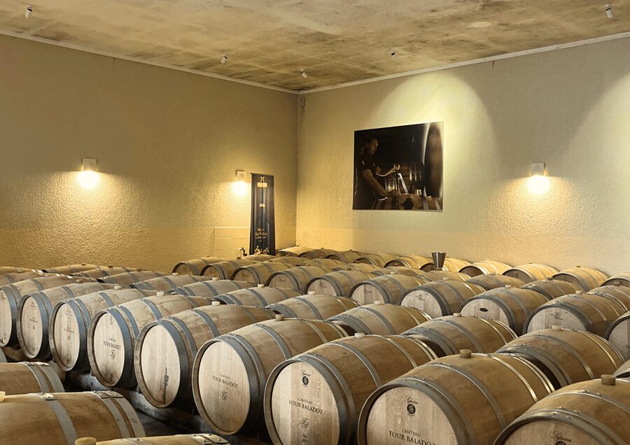 Bordeaux : Unforgettable Saint Emilion Half Day Wine Tour - Saint-Émilion, with time to wander