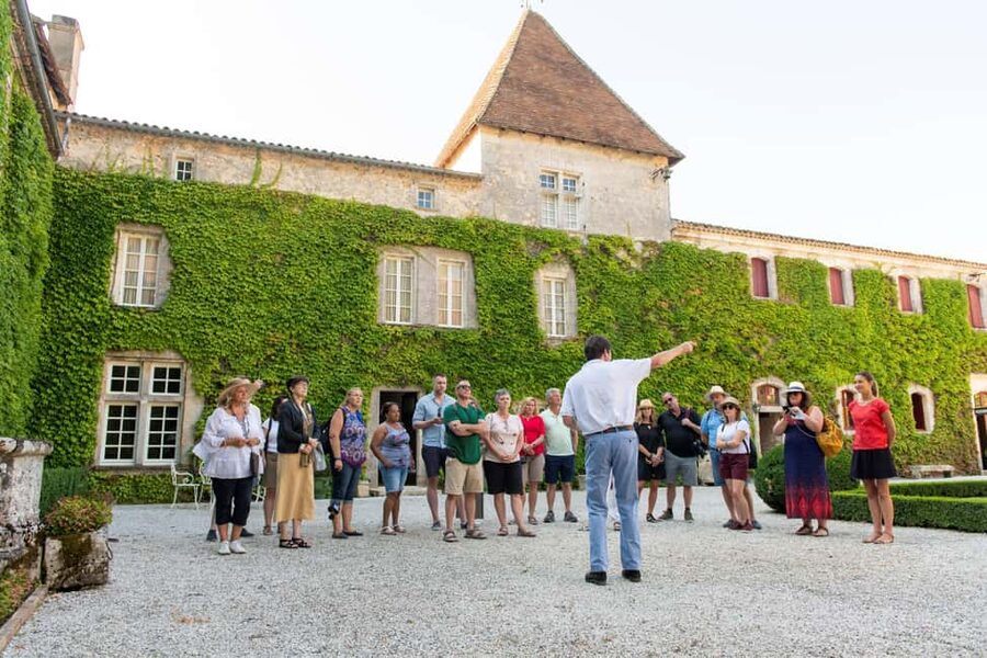 Bordeaux: Vineyards Wine Tasting Half-Day Trip - What this half-day Bordeaux wine tour really offers