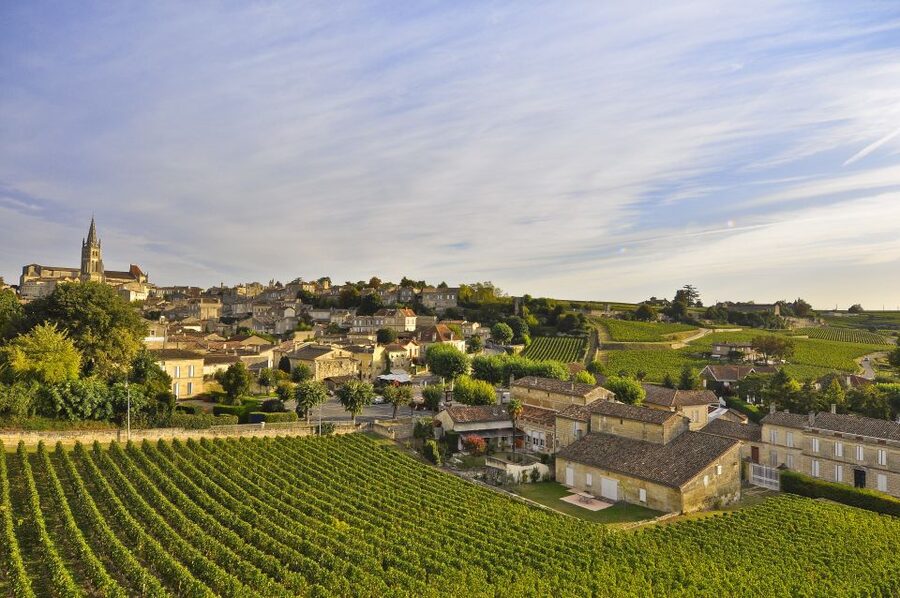 Bordeaux: Vineyards Wine Tasting Half-Day Trip - Saint-Émilion: medieval streets and a church cut from stone