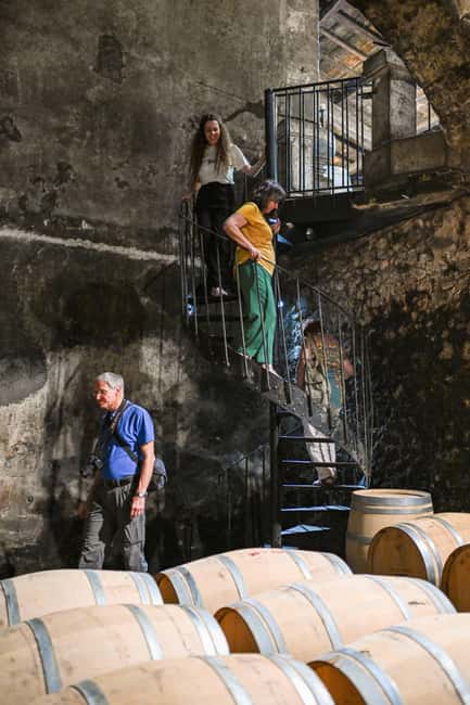Bordeaux: Vineyards Wine Tasting Half-Day Trip - Médoc, Graves, Sauternes, and Entre-deux-Mers