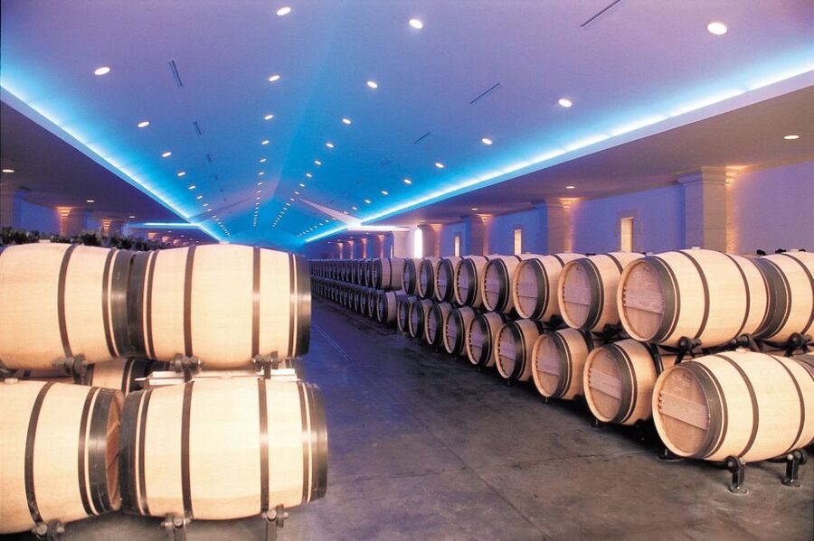 Bordeaux: Vineyards Wine Tasting Half-Day Trip - Blaye and Bourg: a shorter wine program with a major fortress