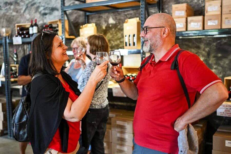 Bordeaux: Vineyards Wine Tasting Half-Day Trip - Comfort, timing, and what to bring