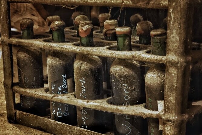 Bordeaux Wine and Trade Museum Admission Ticket with Wine Tasting - Booking, cancellation, and practical expectations