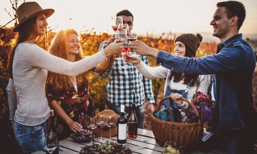 Boscotrecase: Vesuvius Wine Tasting Tour Lunch - Who will enjoy this Vesuvius wine tour?