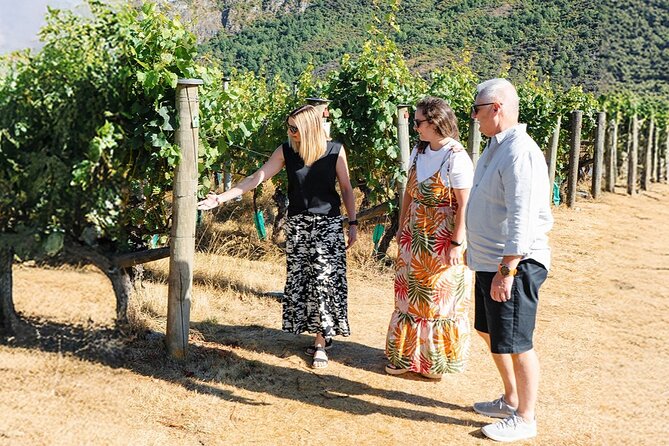 Boutique Wine Tour - visit Central Otago, 4 Wineries & Lunch - Cromwell focuses on another tasting