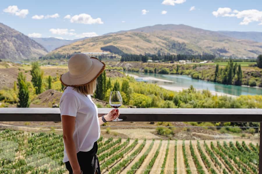 Boutique Winery Half-Day Tour & Vineyard Platter-Style Lunch - Four wineries, four chances to compare styles