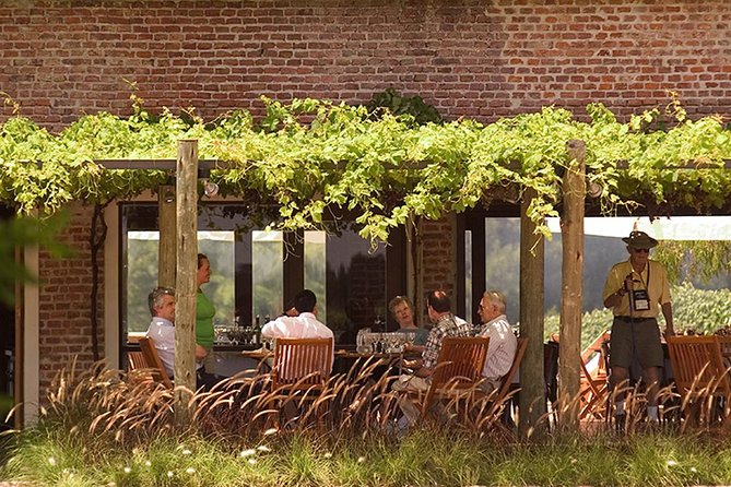 Bouza Winery Tastings and Tapas (Esp, Eng, Port) - Is the $95 price fair?