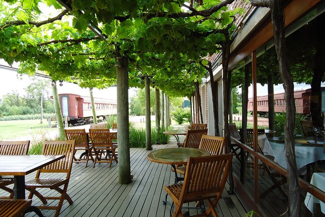 Bouza Winery Tastings and Tapas (Esp, Eng, Port) - Tasting one white and three reds with tapas