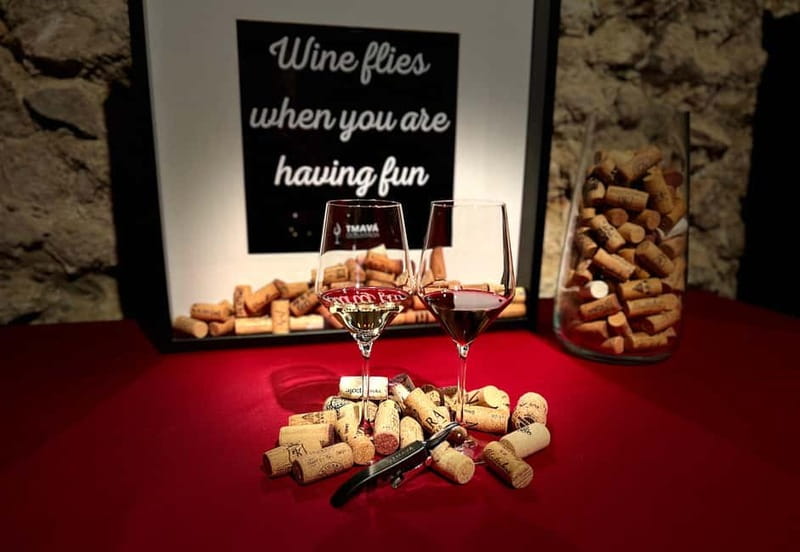 Bratislava: Wine Tasting Experience in the Dark - How the 40-minute tasting unfolds