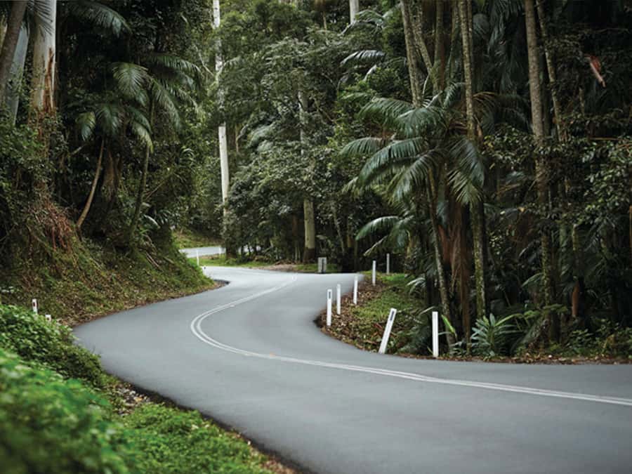 Brisbane: Tamborine Mountain Local Winery Tour with Lunch - Who will enjoy this most