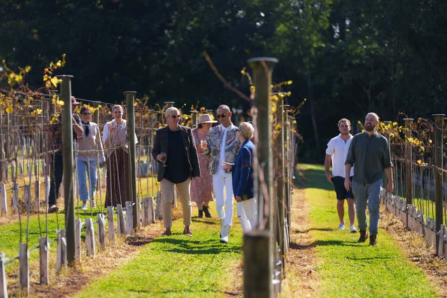Brisbane: Tamborine Wine & Distillery Tour - What the $134 price includes