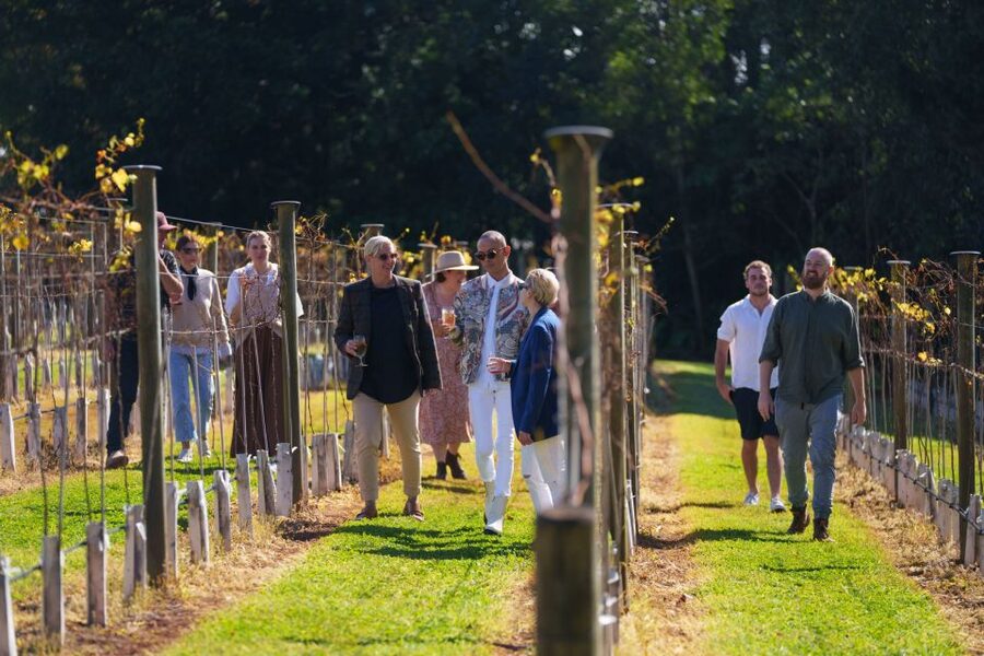 Brisbane: Tamborine Wine & Distillery Tour - Should you book the Tamborine wine and distillery tour?