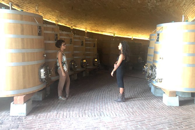 Brunello di Montalcino Wine Tour of 2 Wineries with Pairing Lunch - Leaving Siena in a small, comfortable vehicle