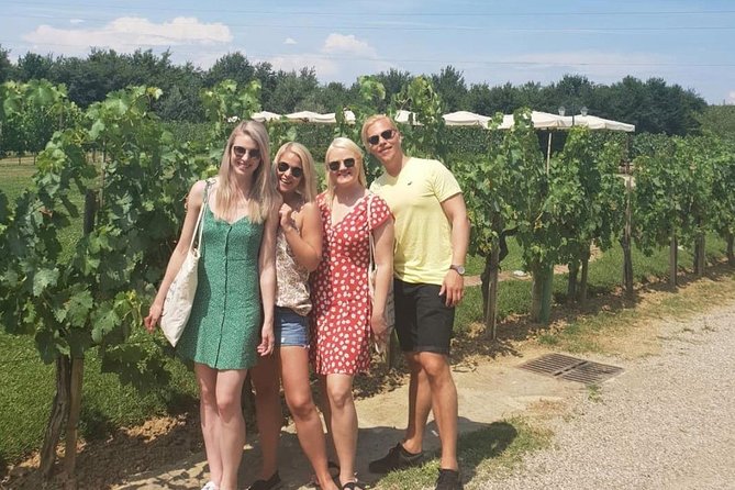 Brunello di Montalcino Wine Tour of 2 Wineries with Pairing Lunch - What the $276.95 price buys you