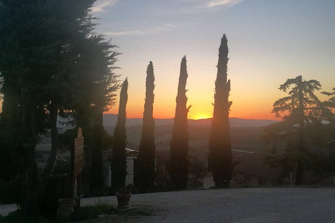 Brunello Wine Tour and Val D'Orcia Landscape - Fabrizio’s personal way of guiding