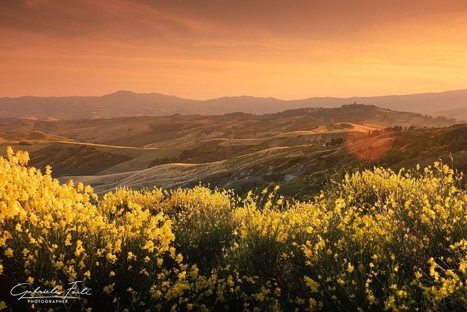 Brunello Wine Tour and Val D'Orcia Landscape - Food, shopping, and what is not included