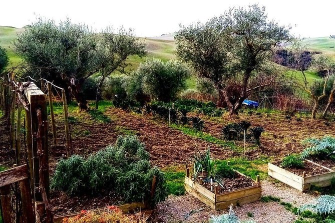 Brunello Wine Tour and Val D'Orcia Landscape - Who will enjoy this tour most