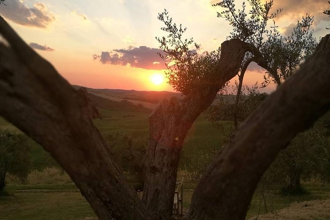 Brunello Wine Tour and Val D'Orcia Landscape - The drive through the UNESCO-listed valley