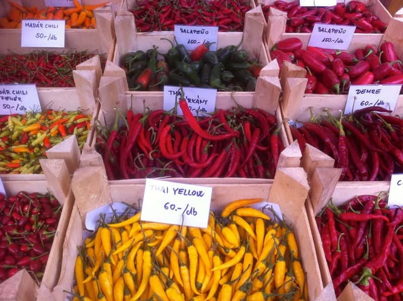 Budapest Culinary & Wine Walk—Budapest’s Signature Food Tour - Starting under the roof of Central Market Hall