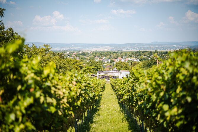 Budapest Half-Day Wine Tour: 3 Family Wineries, Meal & Pálinka - A traditional Hungarian meal, not just a plate of snacks