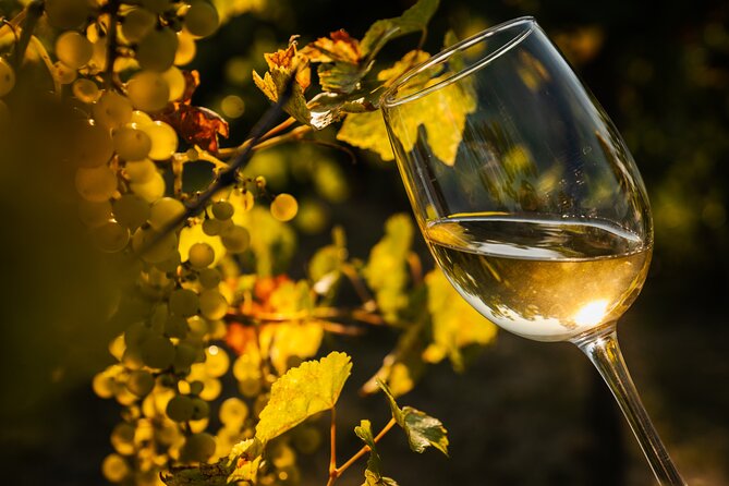 Budapest Half-Day Wine Tour: 3 Family Wineries, Meal & Pálinka - Group size, language, and the overall feel