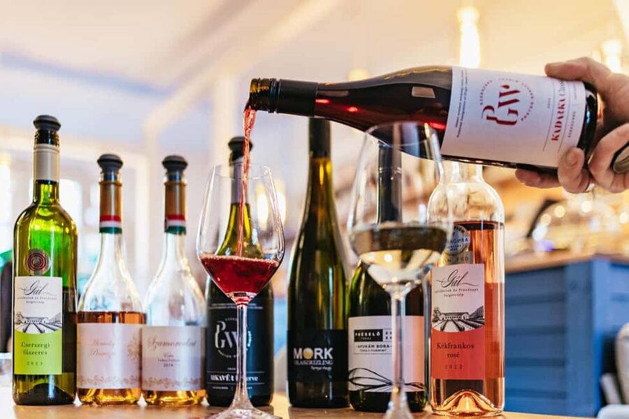 Budapest: Hungarian Wine Tasting with 8 Wines and Tapas - Should you book it?