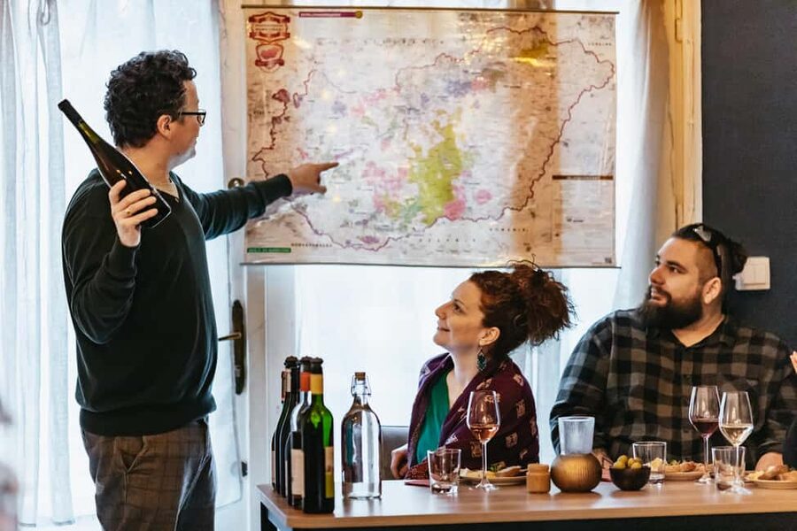 Budapest: Hungarian Wine Tasting with 8 Wines and Tapas - Tapas from farms outside Budapest
