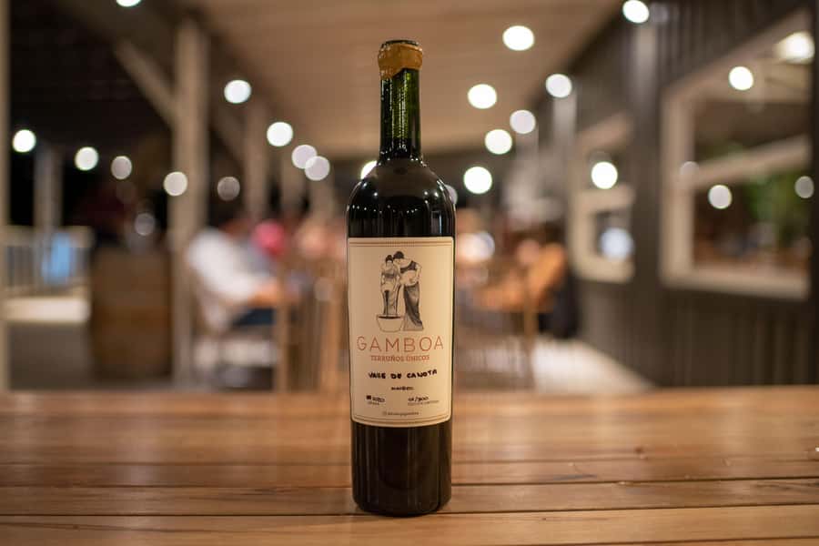 Buenos Aires: Wine Tasting and Lunch at Bodega Gamboa - Guides who shape the day