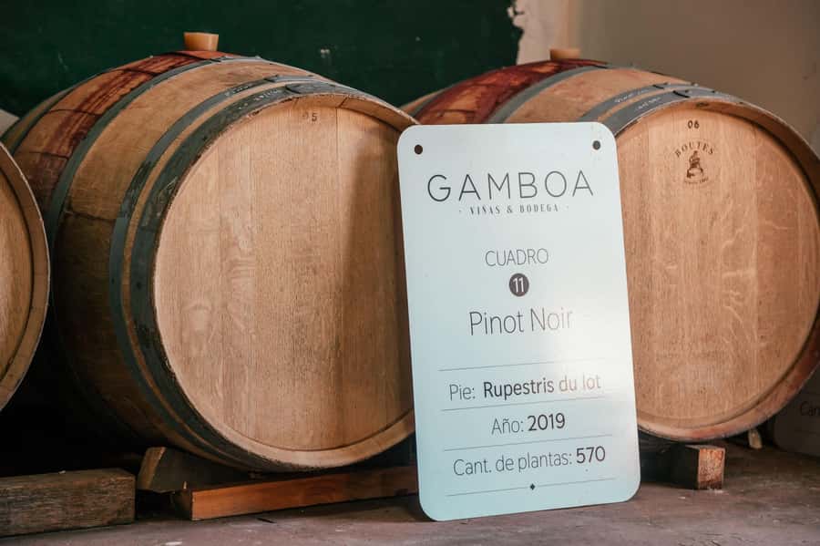 Buenos Aires: Wine Tasting and Lunch at Bodega Gamboa - Weather, clothing, and the walking route