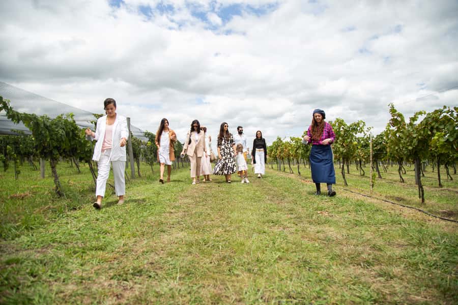 Buenos Aires: Wine Tasting and Lunch at Bodega Gamboa - Should you book this Buenos Aires wine tour?