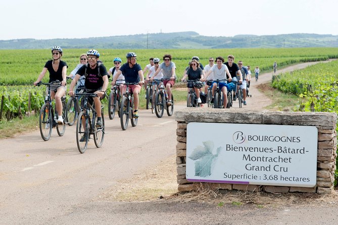 Burgundy Bike Tour with Wine Tasting from Beaune - Lunch near Puligny-Montrachet