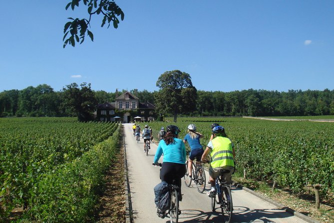 Burgundy Bike Tour with Wine Tasting from Beaune - The afternoon tasting around Pommard, Volnay, or Meursault