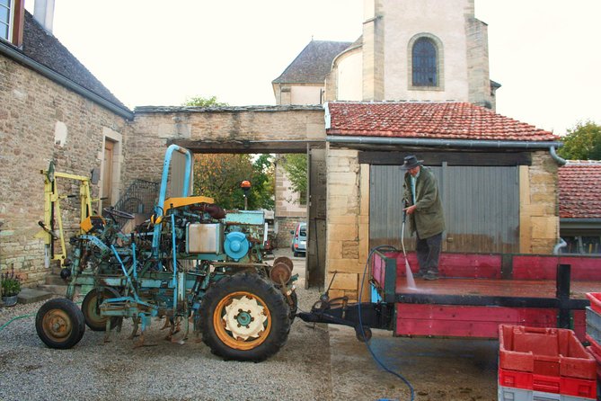 Burgundy Bike Tour with Wine Tasting from Beaune - How hard is the cycling?