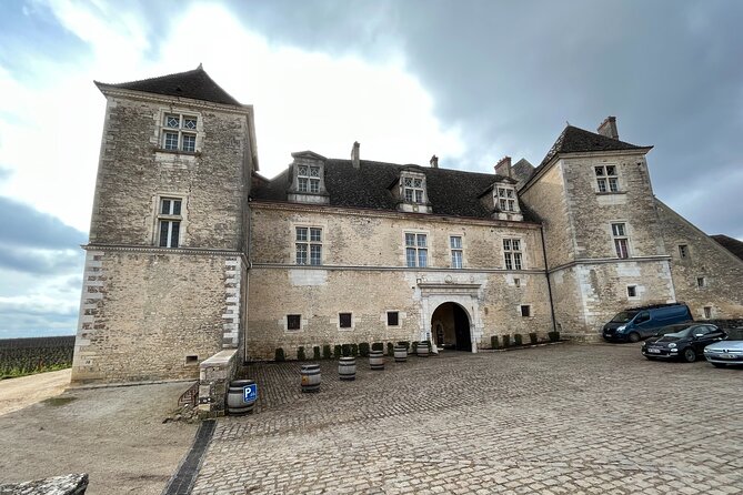 Burgundy Grand Crus Route Day Tour - 14 Wines Tastings in Domains - What the wine lessons actually give you