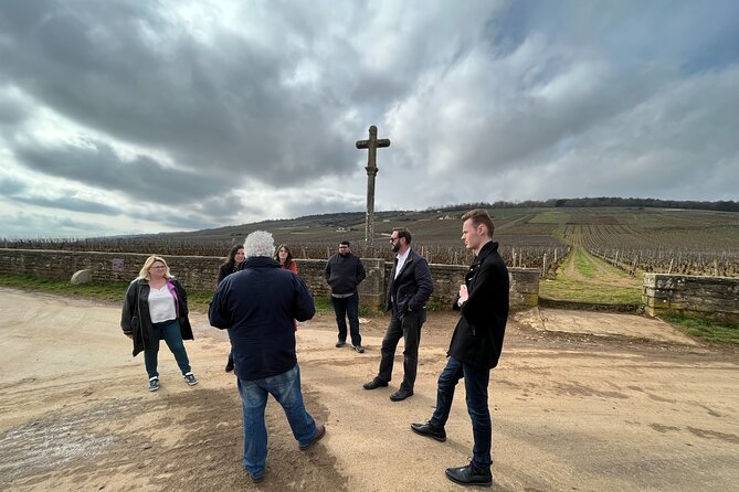 Burgundy Grand Crus Route Day Tour - 14 Wines Tastings in Domains - Lunch is part of the day, but not part of the price