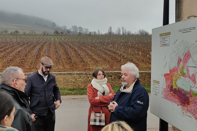 Burgundy Grand Crus Route Day Tour - 14 Wines Tastings in Domains - Is $302.46 a fair price?